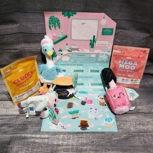 Spa Day Barkbox Toys and Treats NWT
